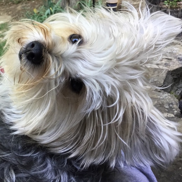 Meet your Posher, Shawn - Picture 1 of 1